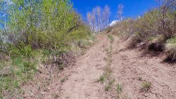 The North Trail, Colorado