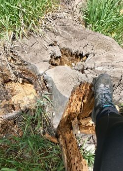 Colorado Hiking