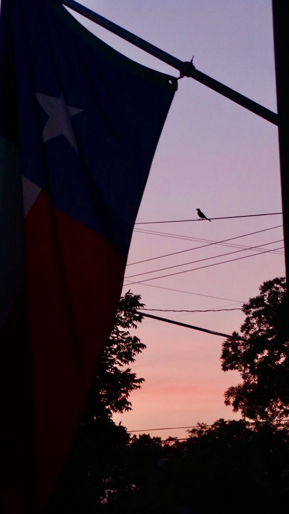 Texas in the evening