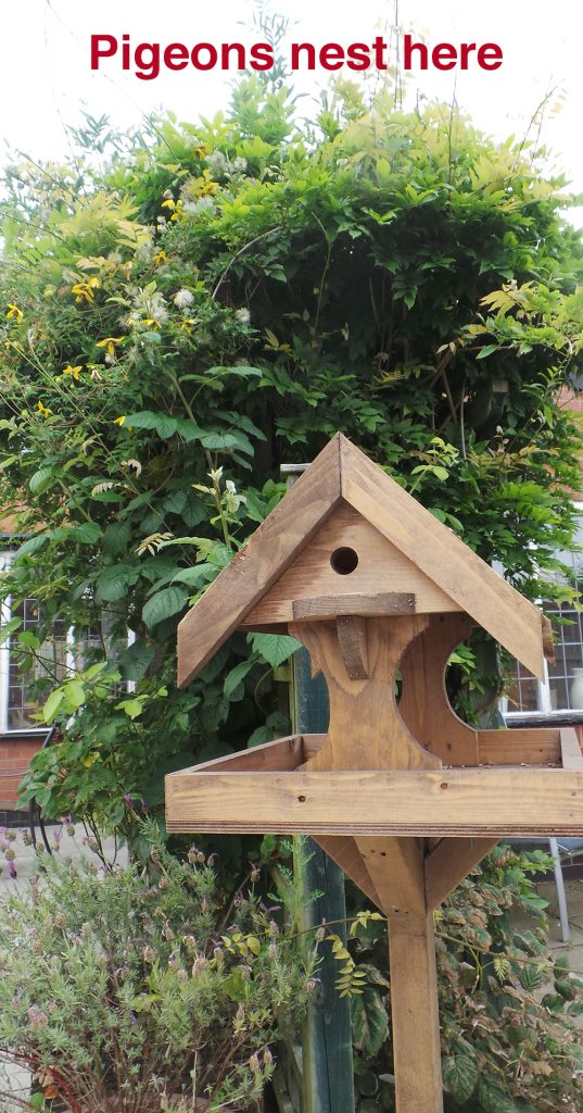 Bird table