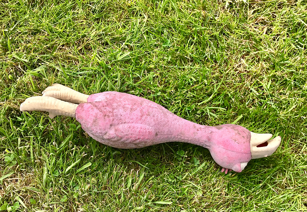 Bird dog toy