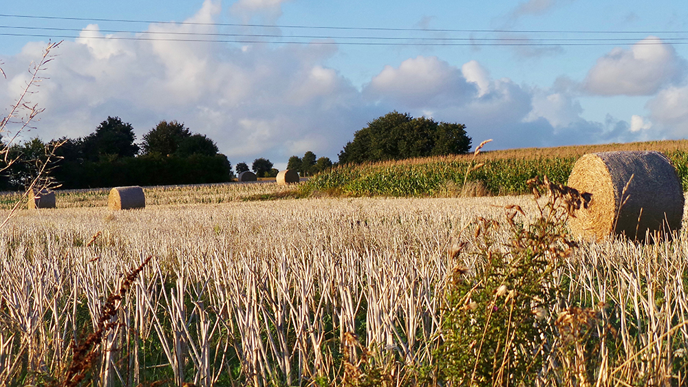 Yvignac, Brittany