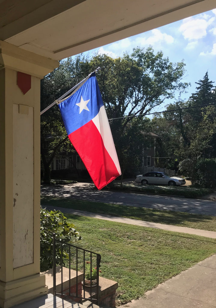 Lone star flag