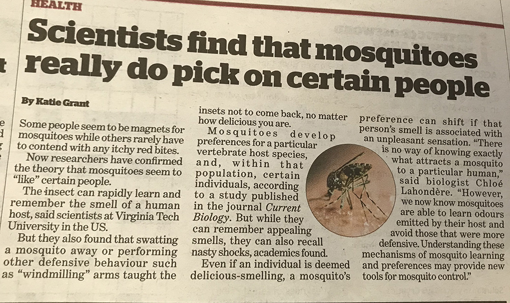 Mosquito cure