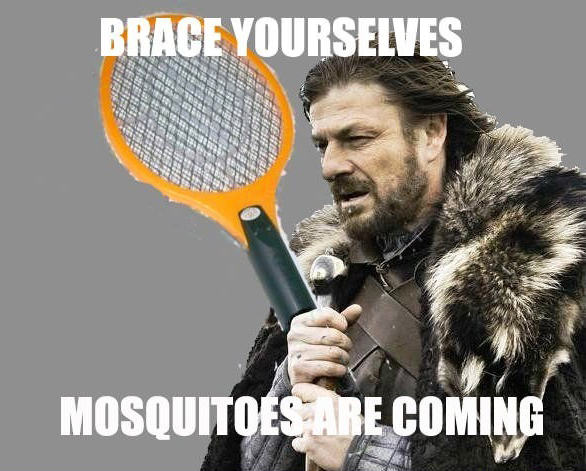 Mozzies