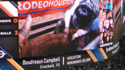 Rodeo Houston Banner Advert
