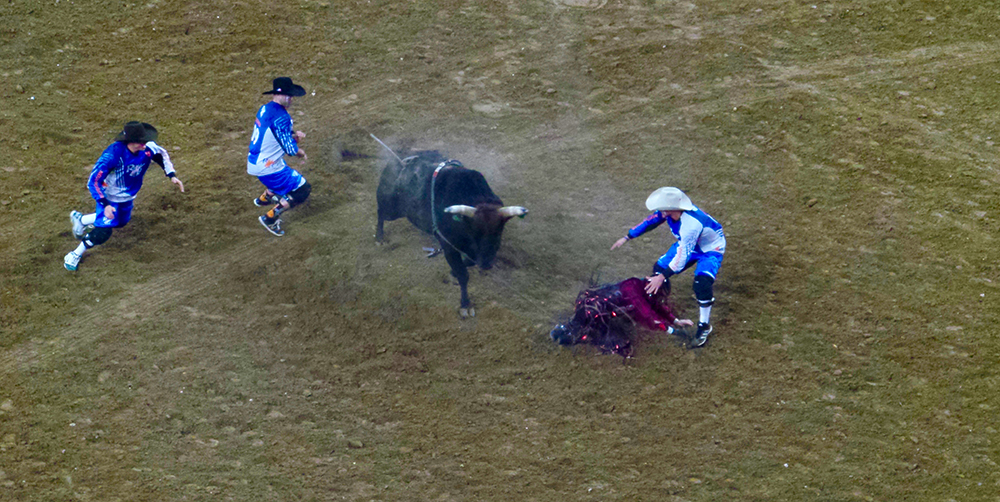 Bull rider at Houston Rodeo