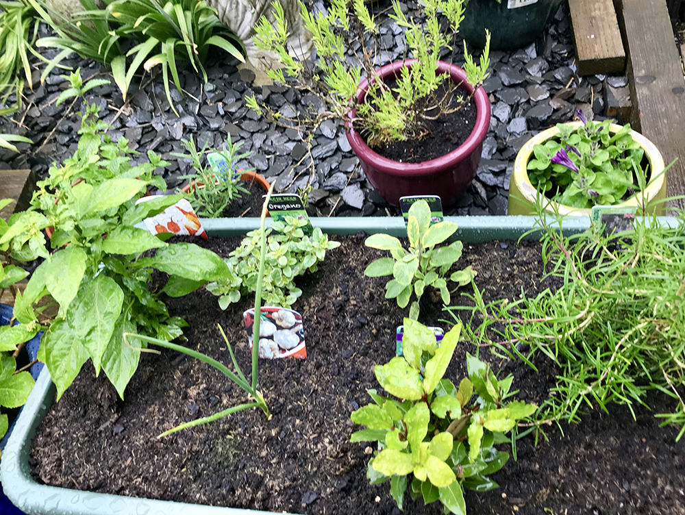 HERB GARDEN 