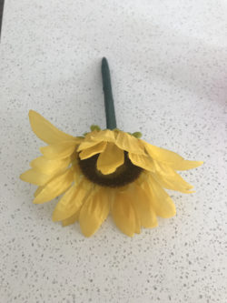 Sunflower pen