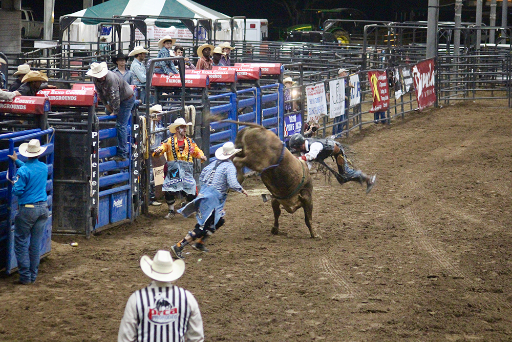 Bull rider