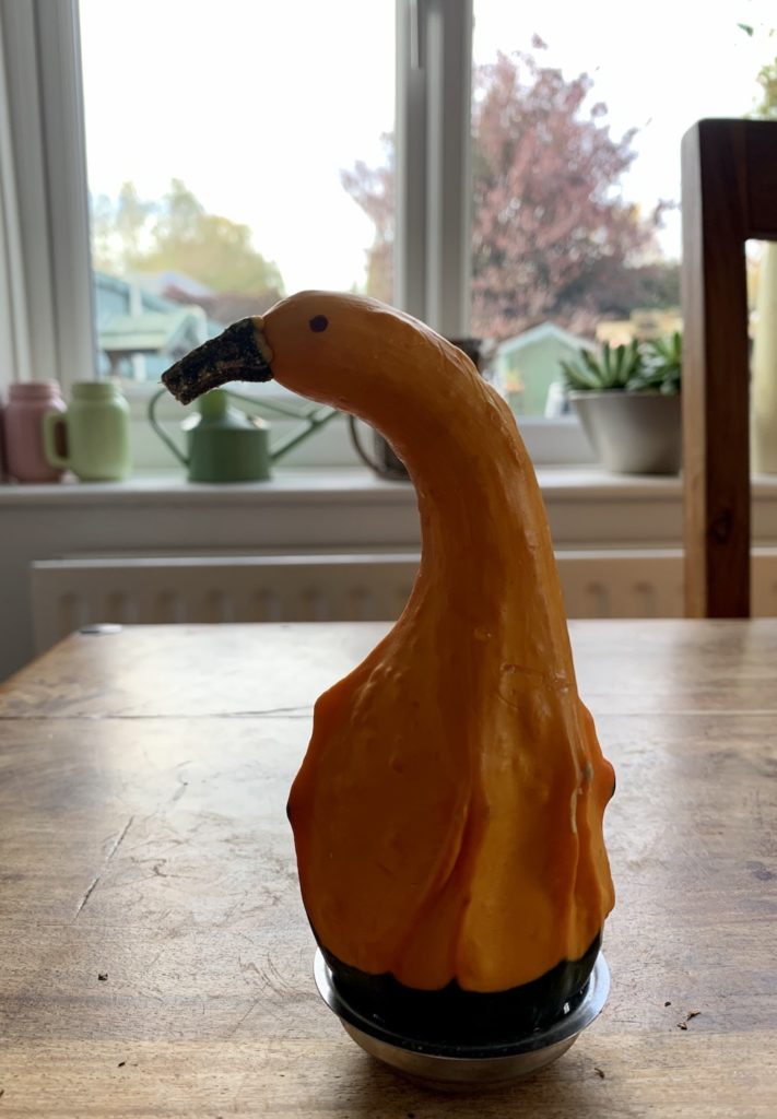 Gourd squash shaped like a bird