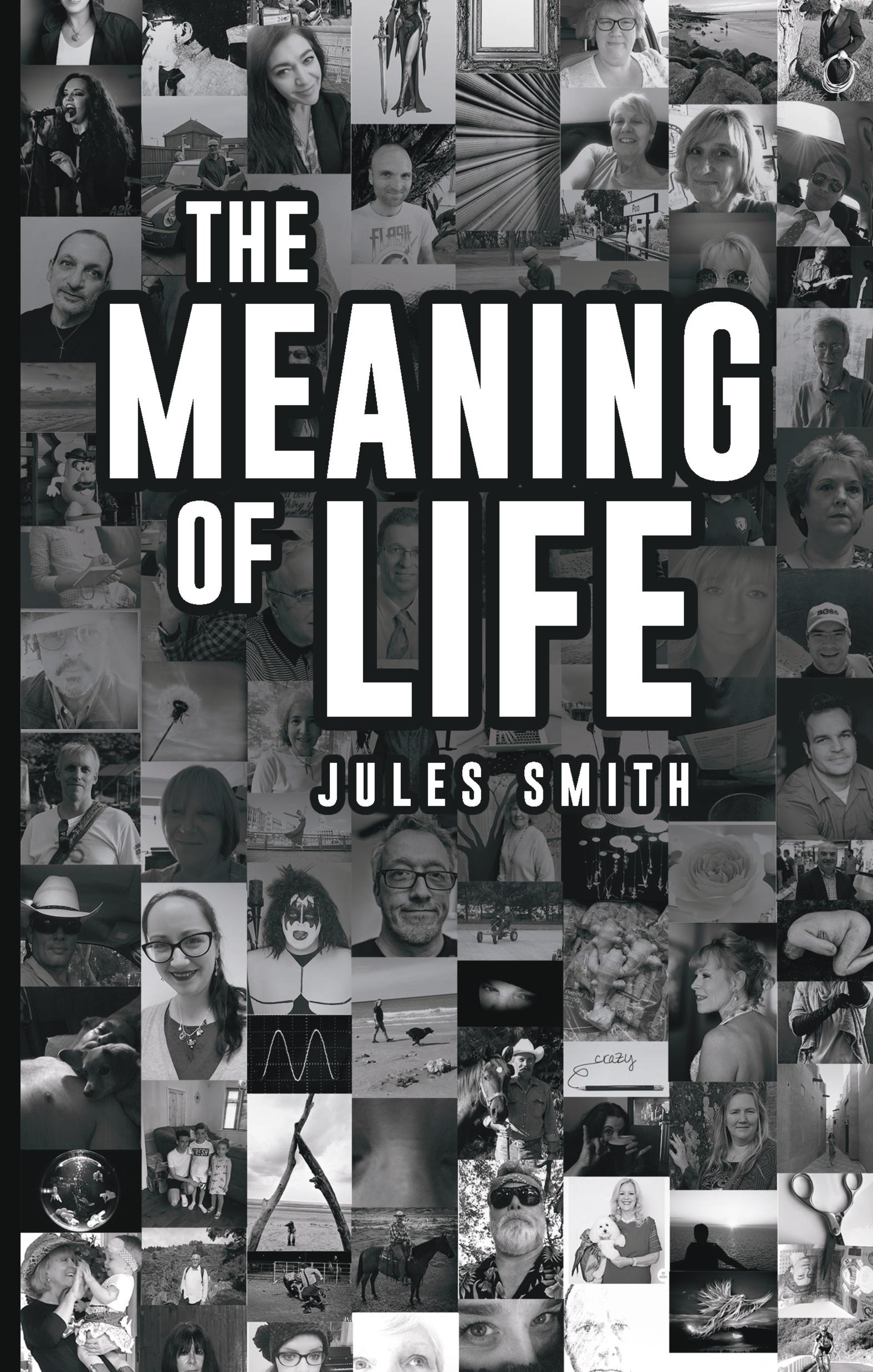 Book cover for The meaning f Life book by Jules Smith