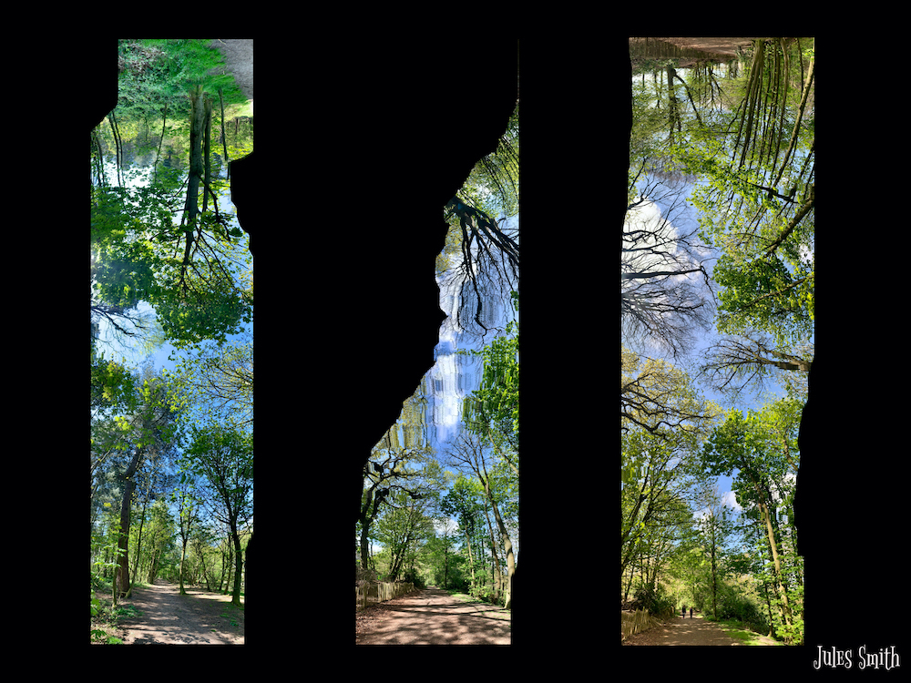 A panorama x 3 photos of the woods