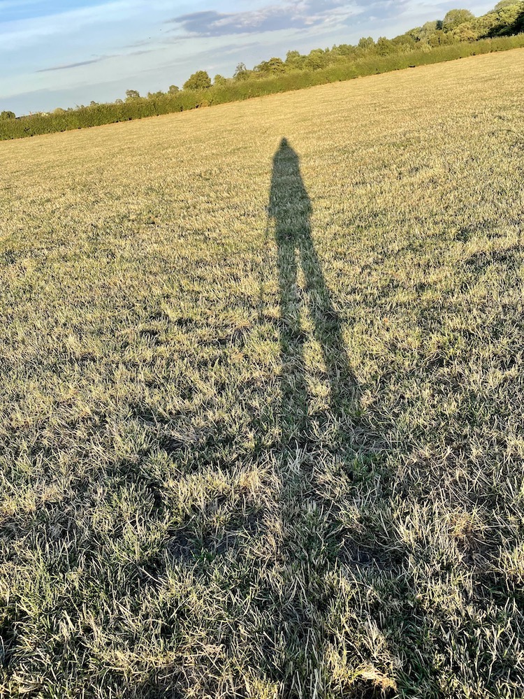 shadow of a person on a field
