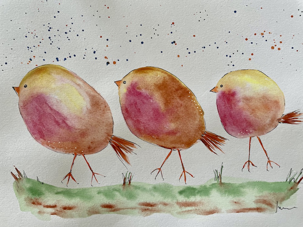 watercolour cute birds, robins