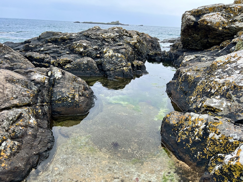 Rock Pool in Mousehole Cornwall