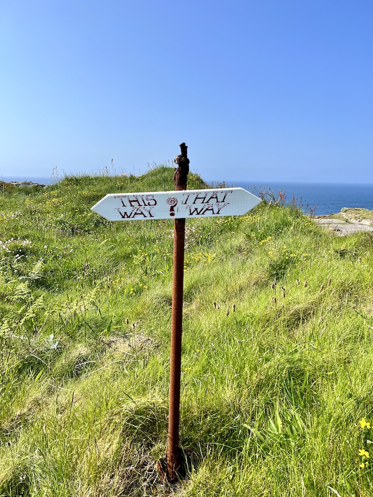 Cornish signed the south coast 