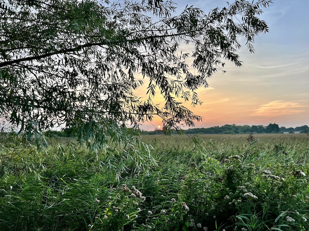 view of the Norfolk Broads while sailing