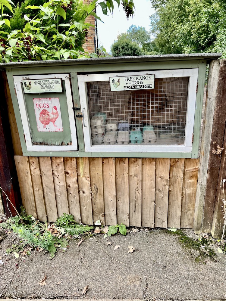 eggs in a hutch for sale