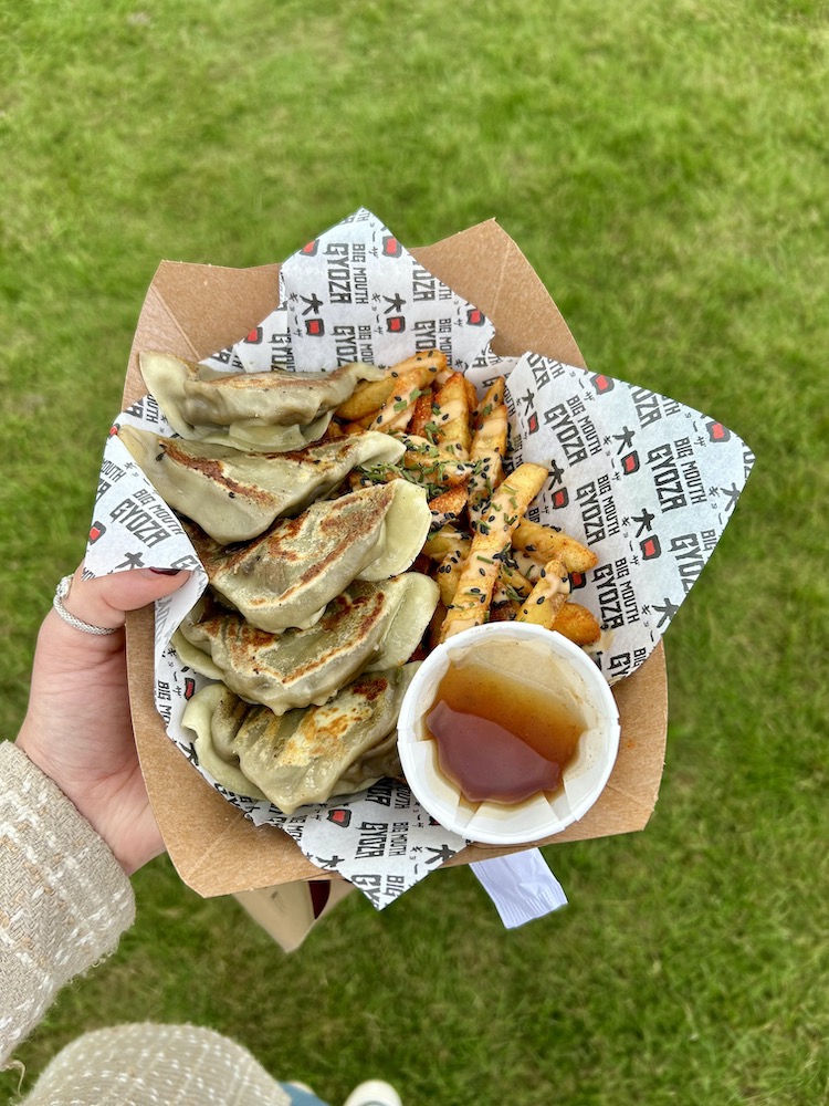 Gyoza and spicy fries