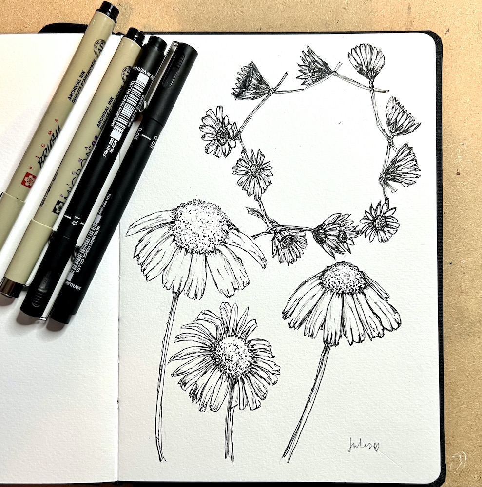 sketchbook and finalisers on top of a pen and ink drawing of daisy flowers