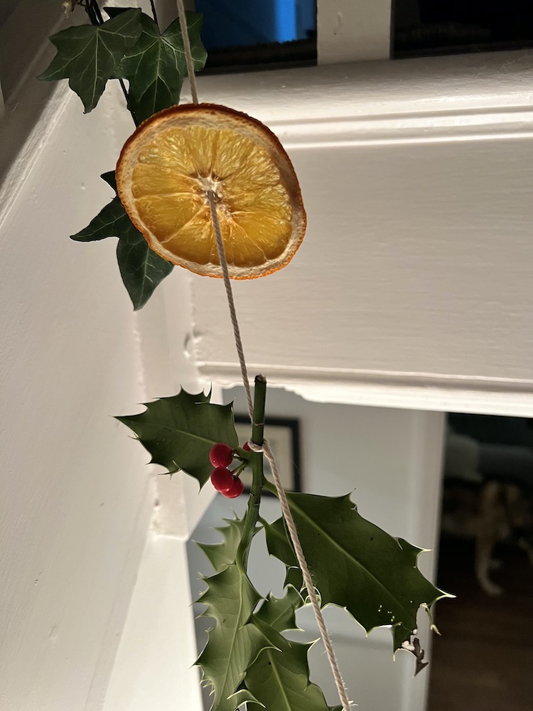 Holly and orange strung together for Christmas 