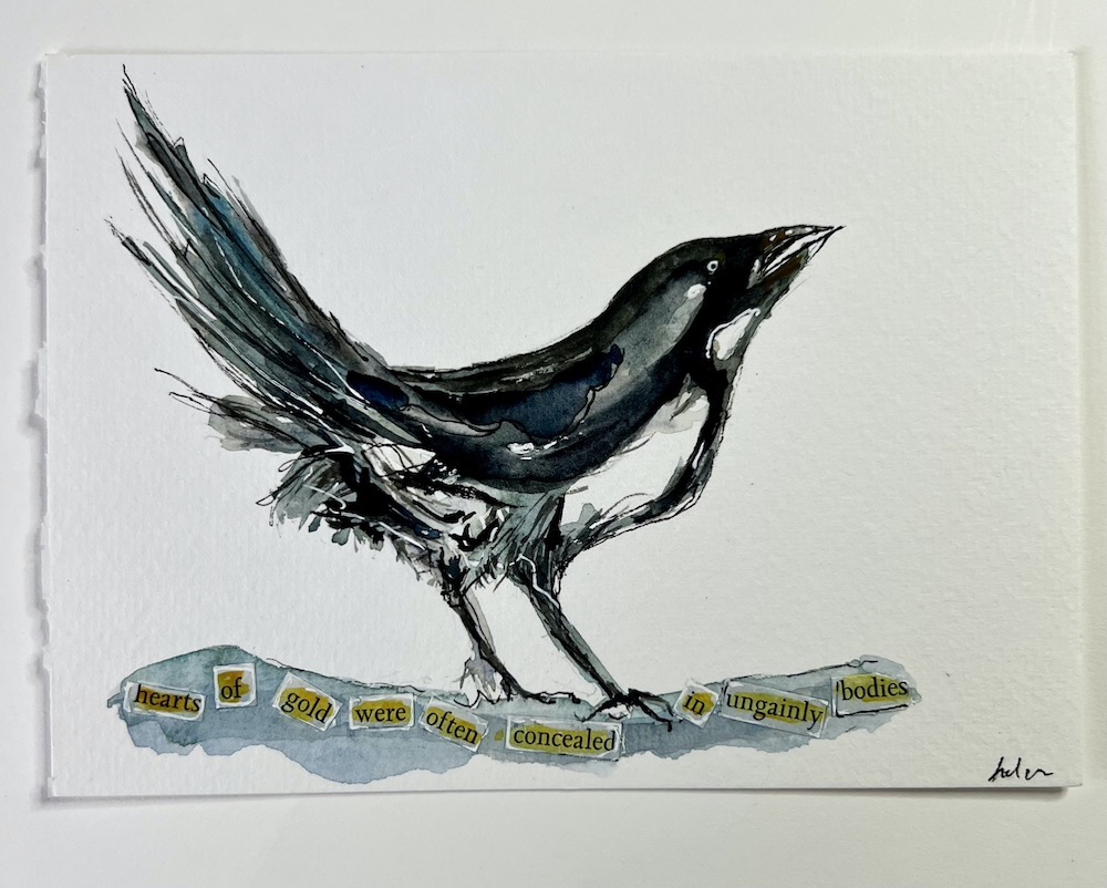 watercolour pen and wash painting of a magpie with cut out words from book caption. 
