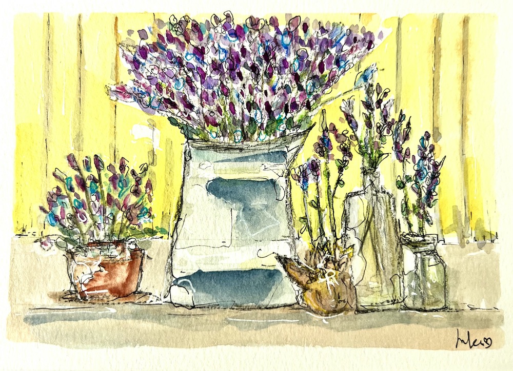 A watercolour line and wash painting of lavender in a jug, a glass bottle and a hessian sack all sitting on a shelf. Art by Jules Smith