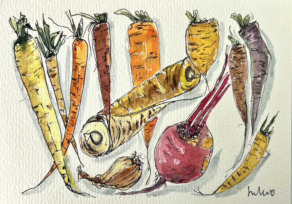 A line and wash painting of different types of root vegetables. Art by Jules Smith