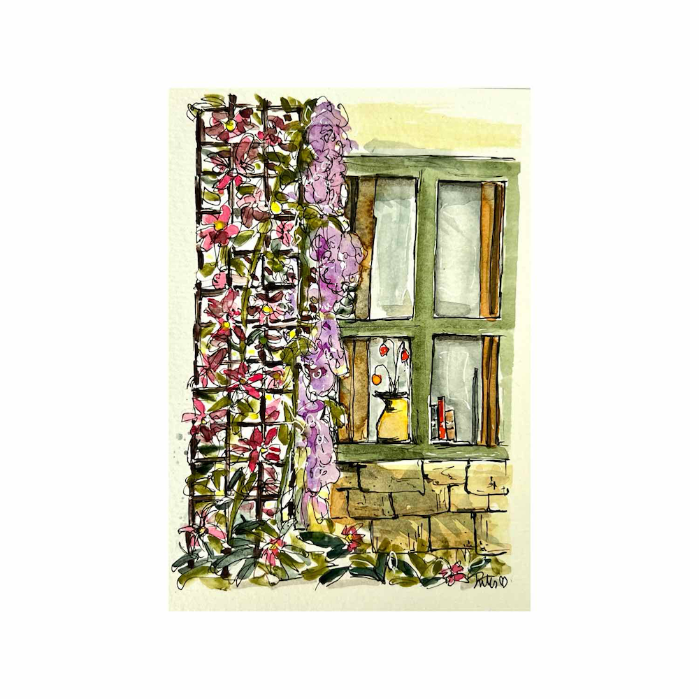 a line and wash drawing of a window with trellis and flowers - Clematis and Wisteria- growing up it. Pen and ink illustrative art by Jules Smith, UK